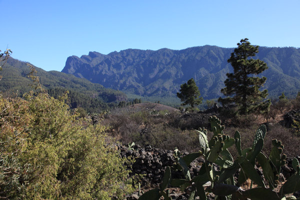 Centro de visitantes in El Paso
